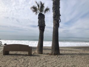 Capistrano Beach Bench