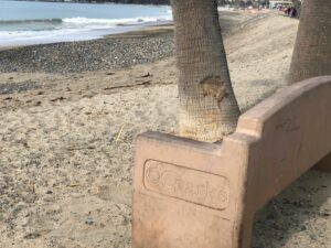 Capistrano Beach Bench