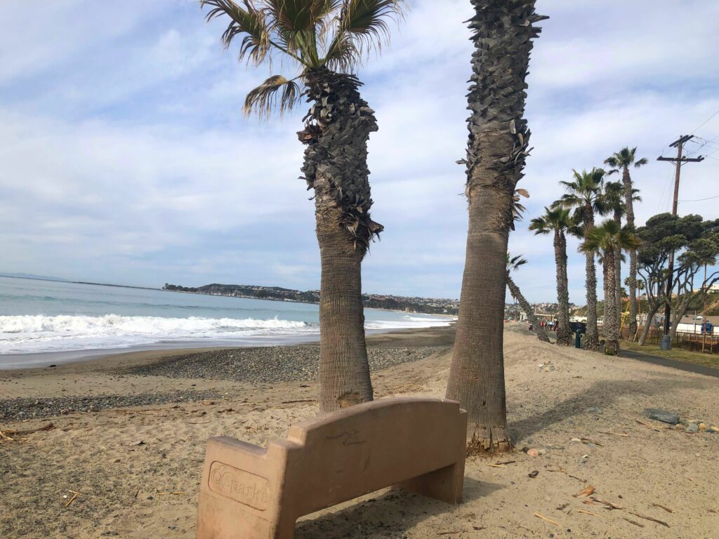 Capistrano Beach Bench and Palm Trees