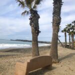 Capistrano Beach Bench and Palm Trees