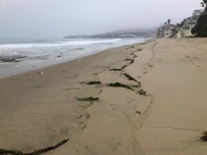 Thalia Street Beach on a rainy morning