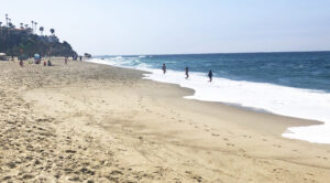 Aliso Beach Swimmers