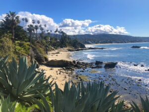 Diver's Cove and Picnic Beach