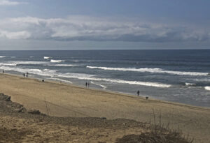 Dog Beach Overlook