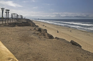 Dog Beach from above