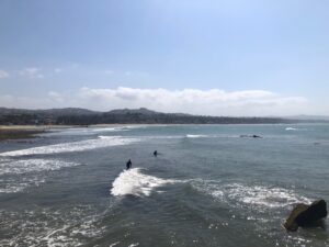 Doheny Bay Surfers