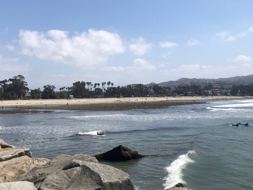 Panoramic View Doheny State Beach