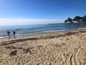 Surfers Doheny Beach