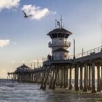 Huntington Beach Pier Gulls