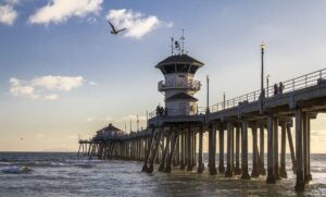 Huntington Beach Pier Gulls