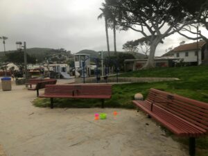 Benches and swings in Main Beach Park