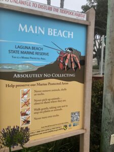 Laguna Beach State Marine Reserve Sign