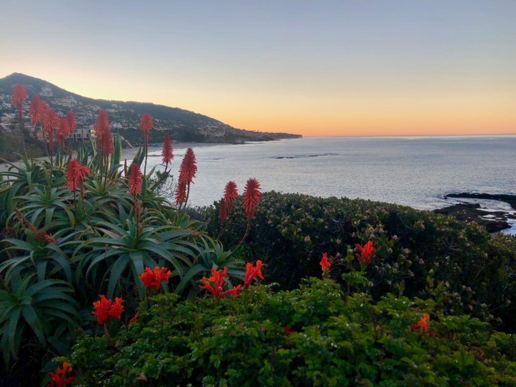 Treasure Island Sunrise