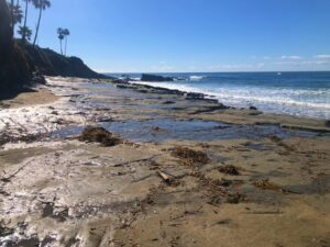 Picnic Beach