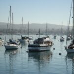 Sailboats Newport Bay