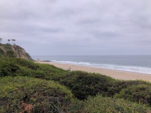 Salt Creek Cliff