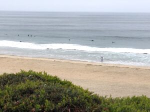 Salt Creek Surfers