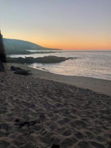 Goff Cove Montage Sunrise