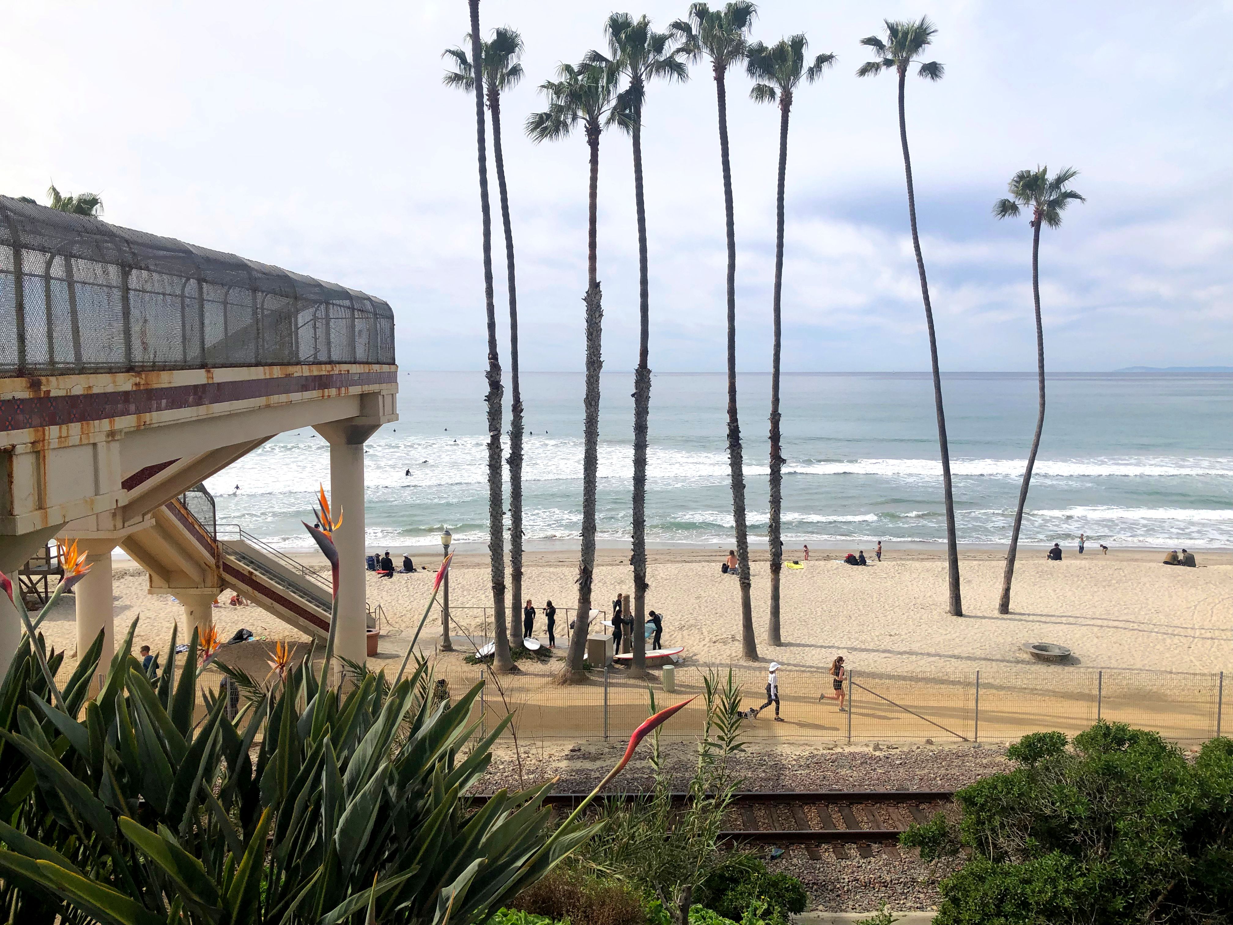 Palm Trees and sandy beach at T-Street