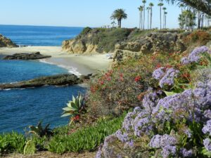 Treasure Island, Laguna Beach