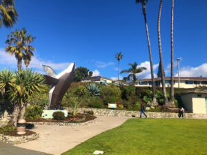 Whale Statue Heisler Park