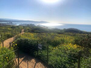 Harbor Point Conservation Park