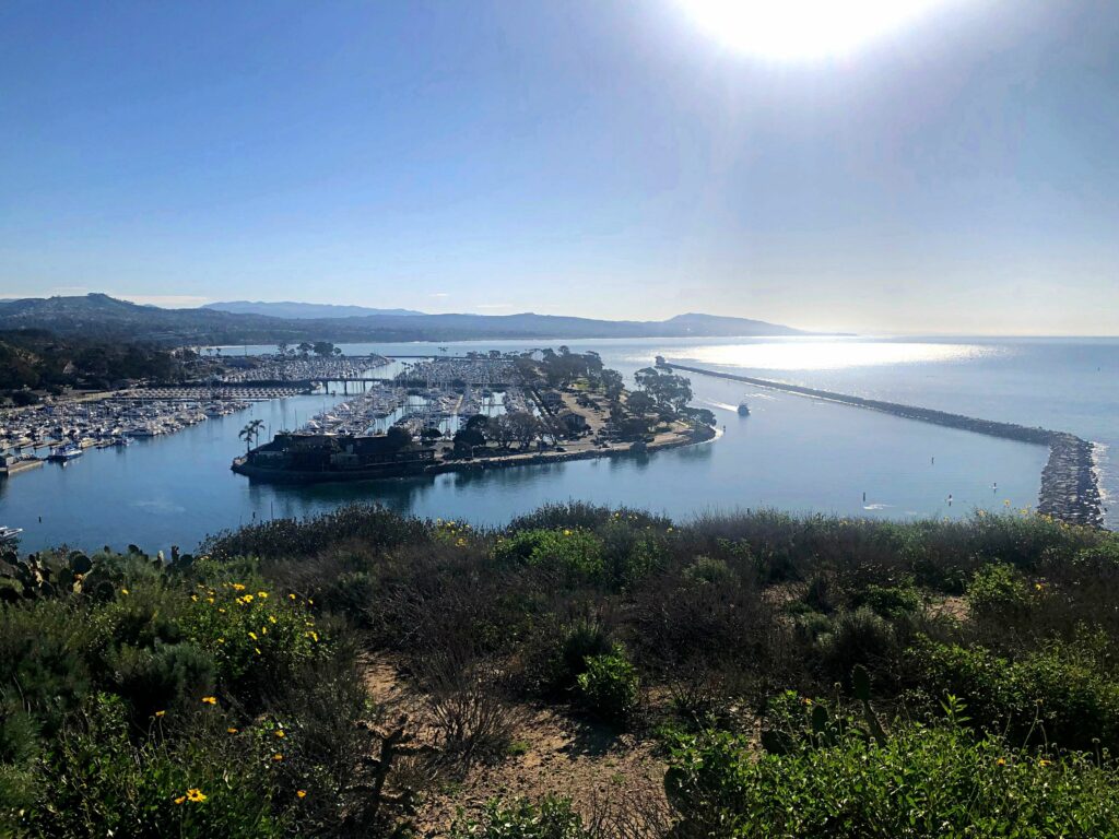 Dana Point Harbor from Harbor Point Conservation Park