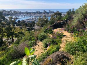 Bluff Top Trail Harbor View