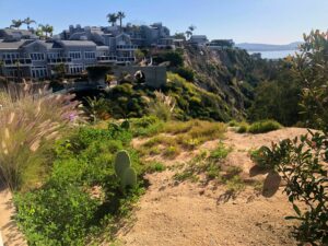 Bluff Top Trail View