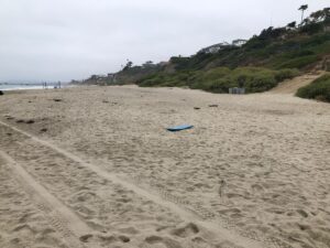 Riviera Beach looking north