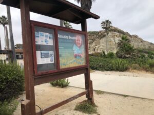 Calafia Beach Information Station