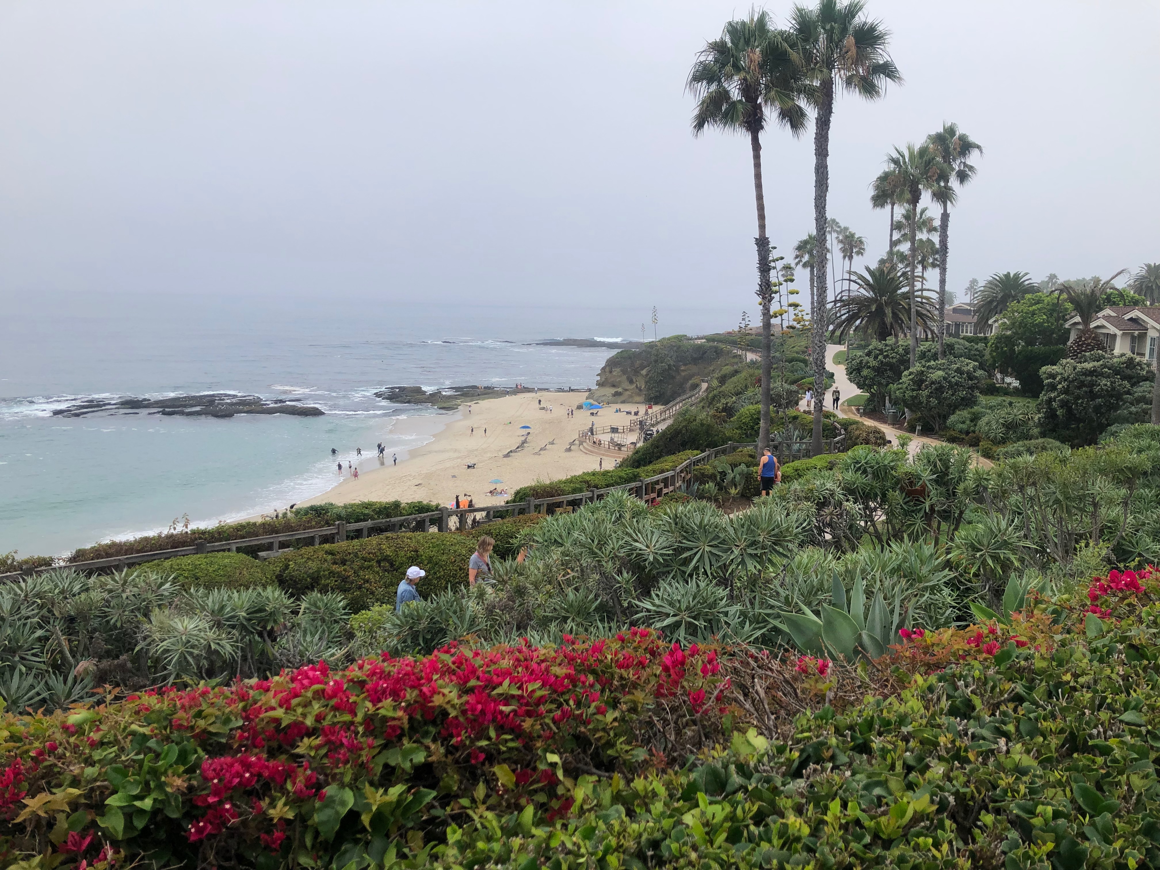 Morning walk at Montage Resort in Treasure Island Park