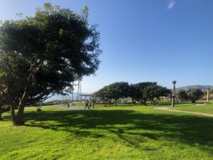 grassy knoll overlooking the beach