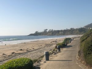 View facing north at Salt Creek