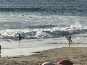 Surfers in Dana Point