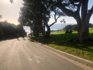 Walkway down to the beach