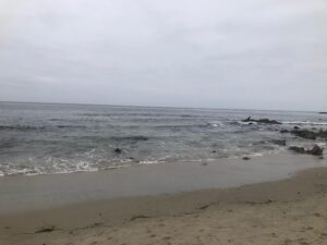 Ocean at Agate Street Beach