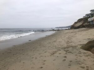 Pearl Street Beach view to the north