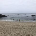 Woods Cove swimmers